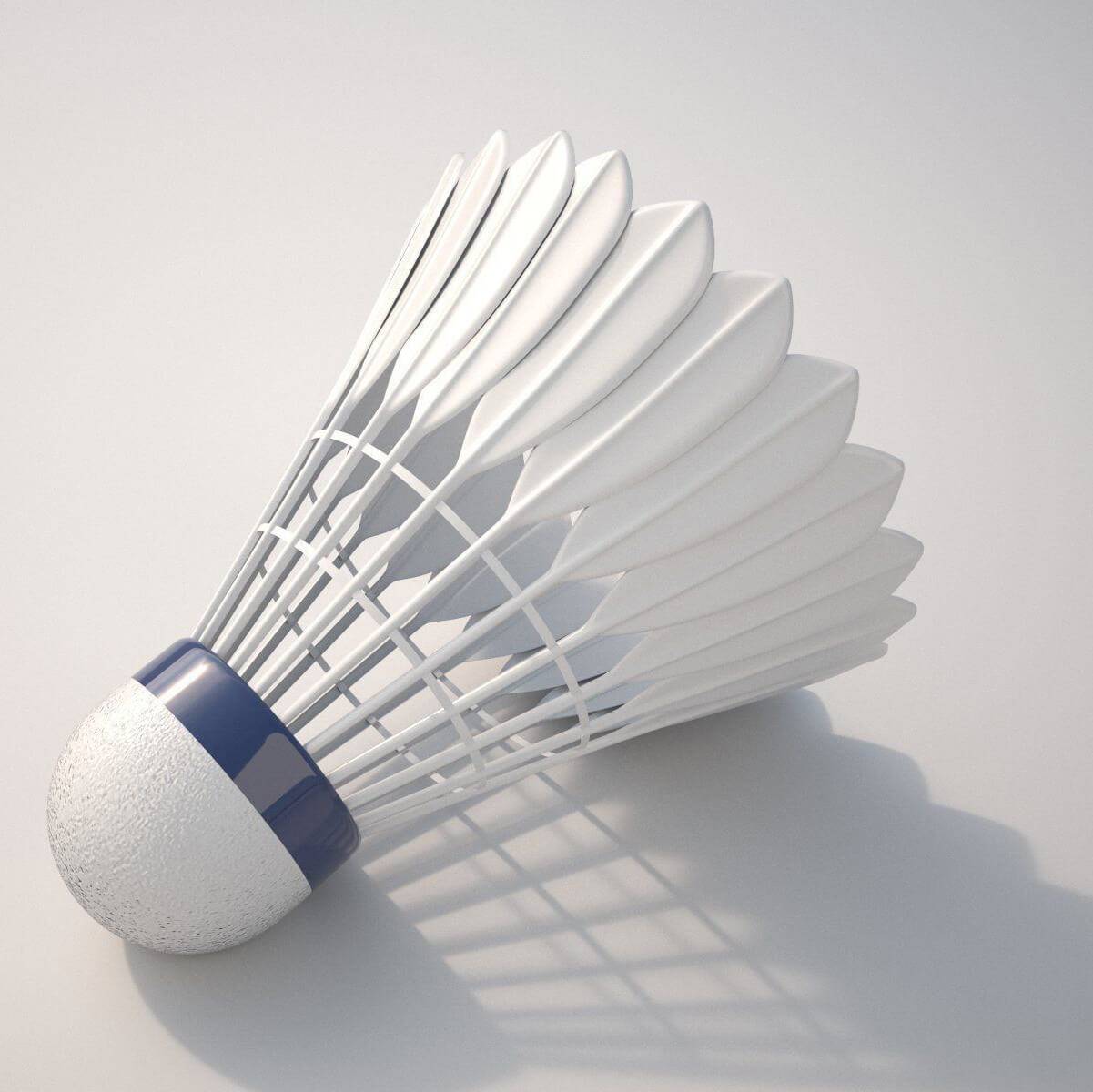 Badminton